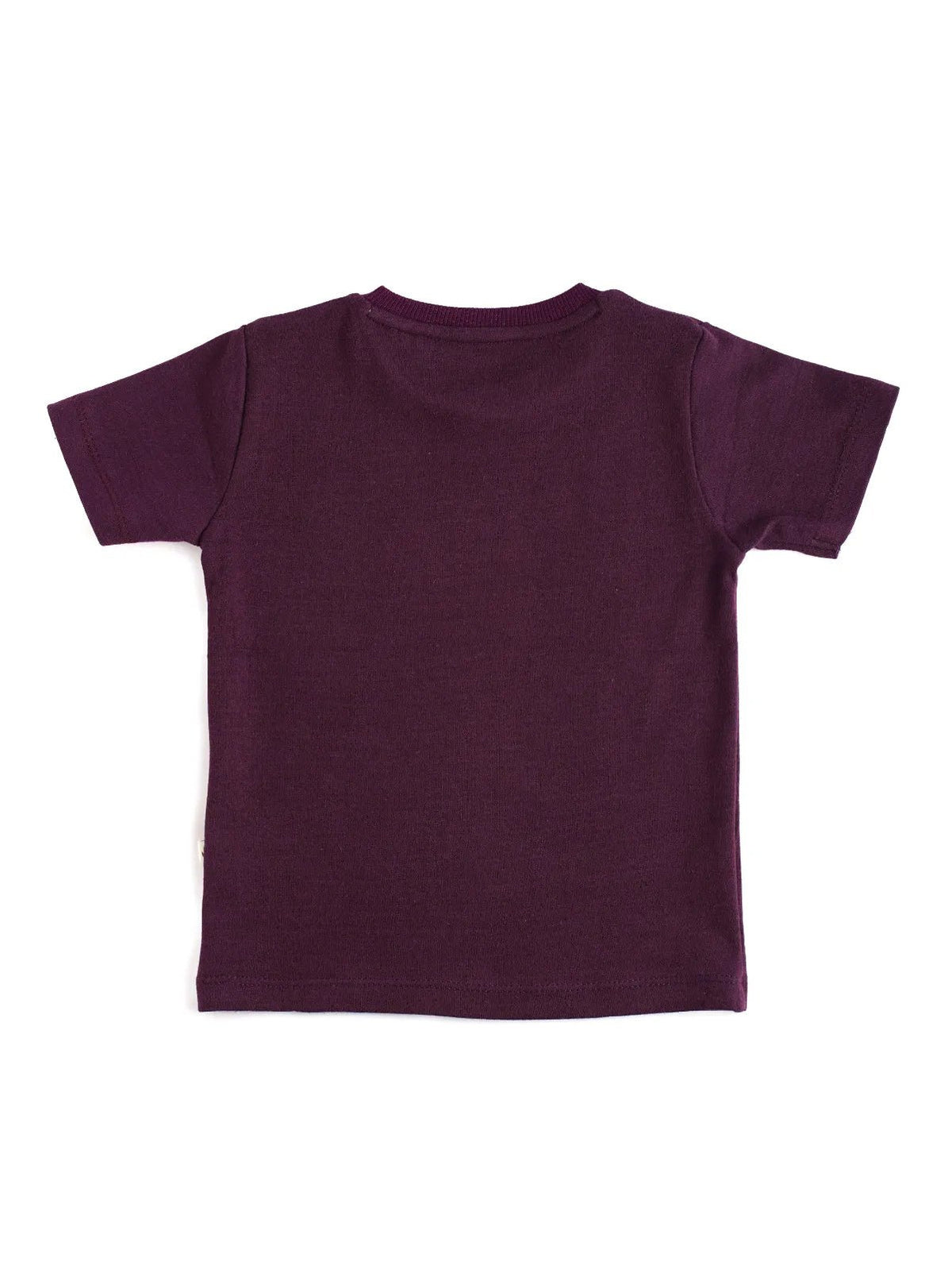 Half sleeve brown graphic t-shirt for baby