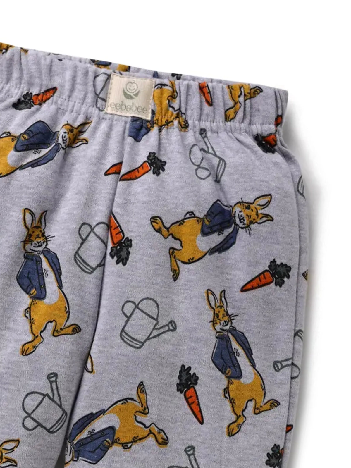 2 Pc Pajama Pants Combo 9-12 Months